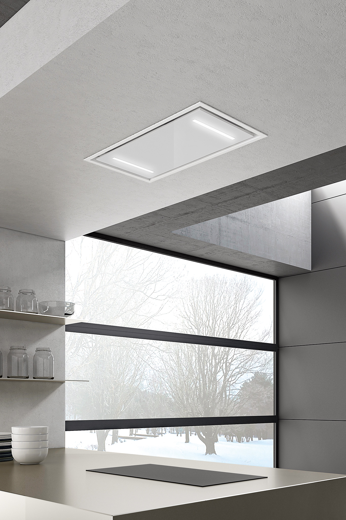 biely digestor scutum